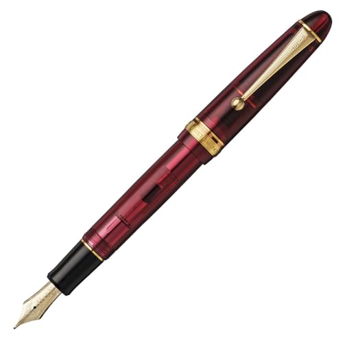 M*S様 PILOT万年筆 CUSTOM742 31+xA6ZtpiL.jpg